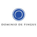 Dominio de Pingus